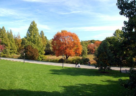 park in autumn