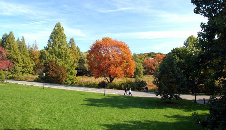 park in autumn