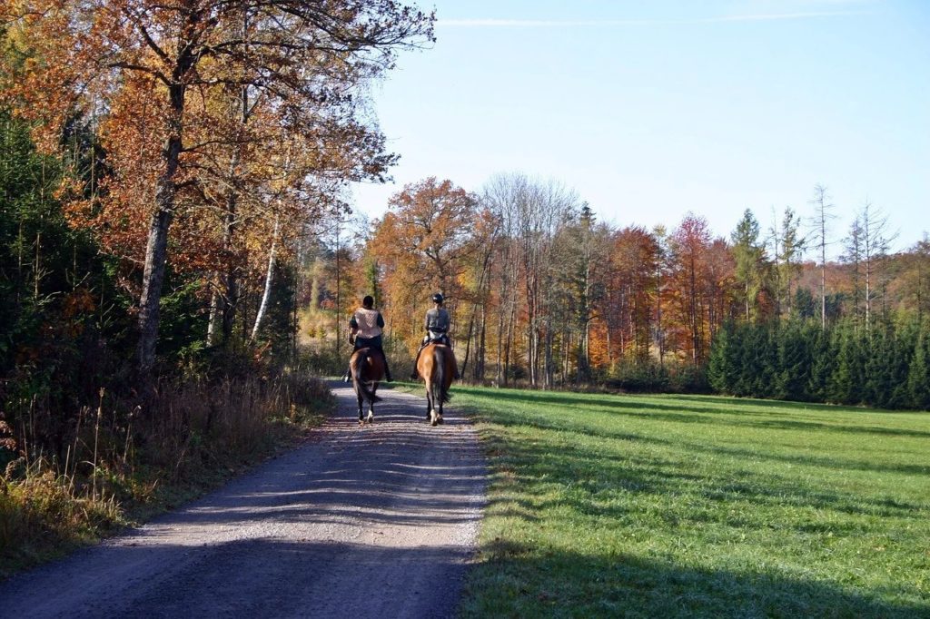 horse riding