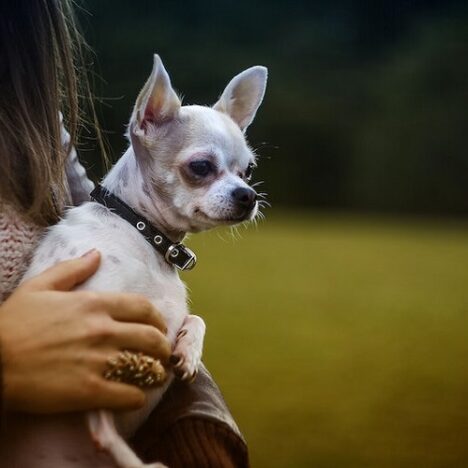 Local Hotels With Jacuzzi Rooms – Comfort Just Minutes Away